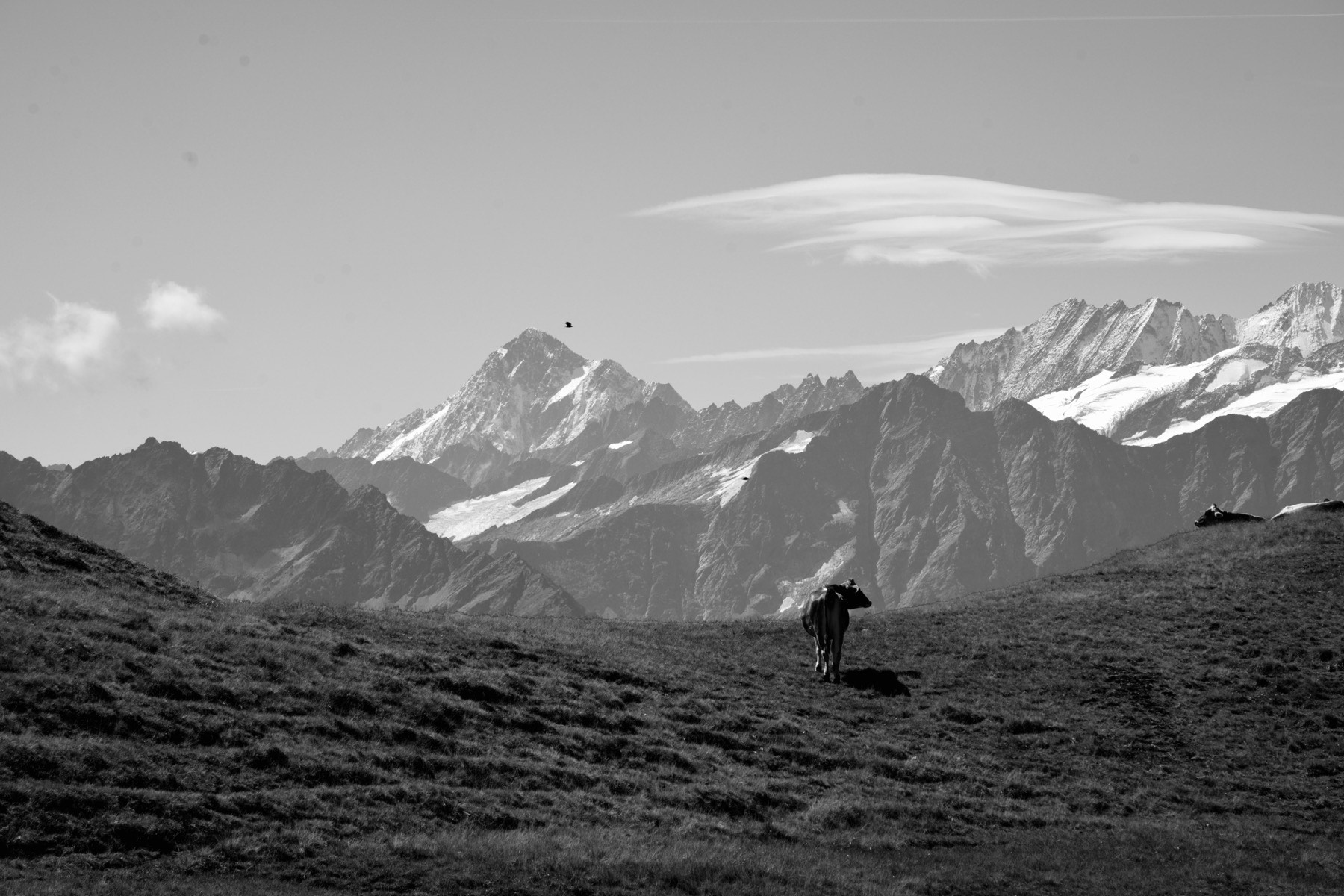 Mountain XIII